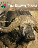 timbrowntours